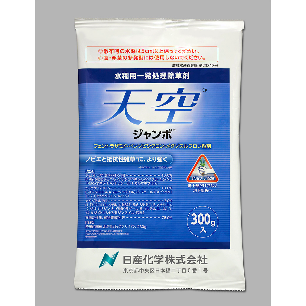 天空ジャンボ