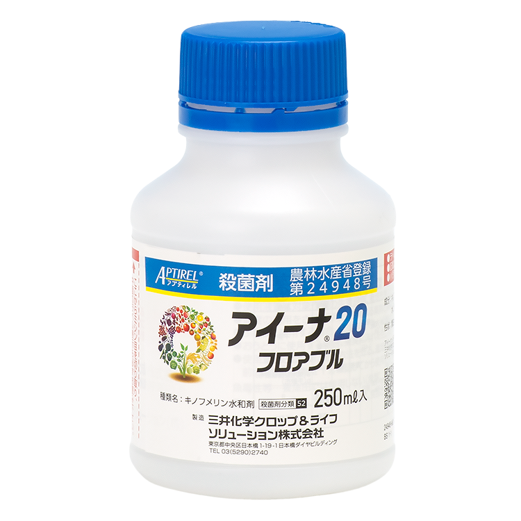アイーナ20フロアブル