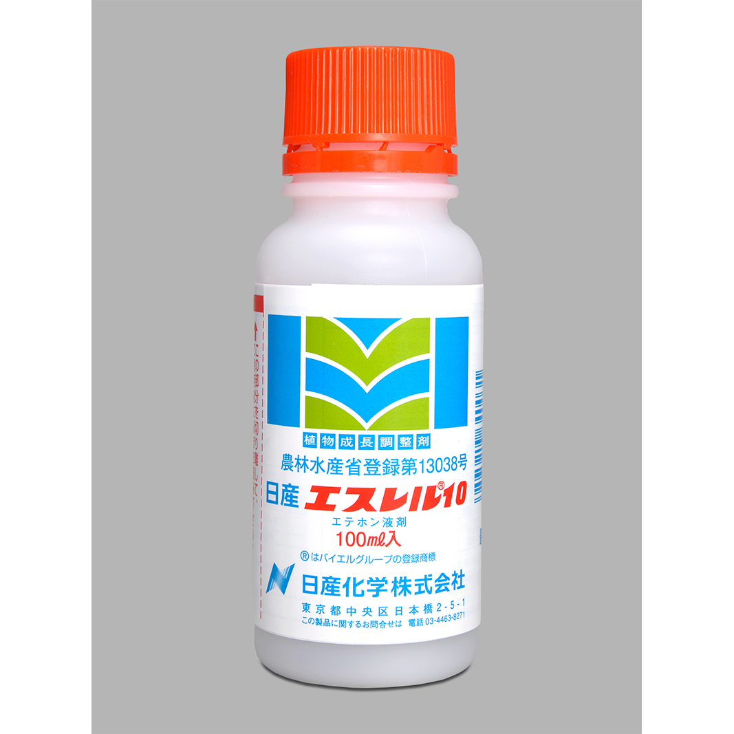 日産エスレル10