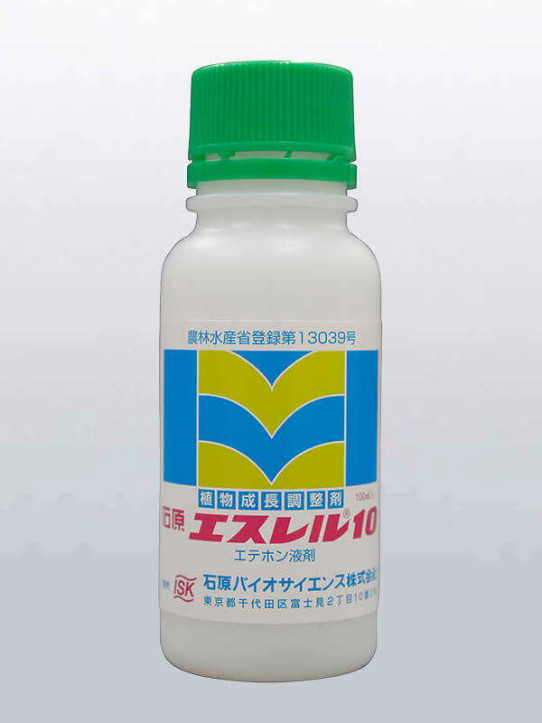 石原エスレル10