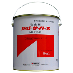 ガットサイドS