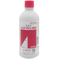 サントクテン80