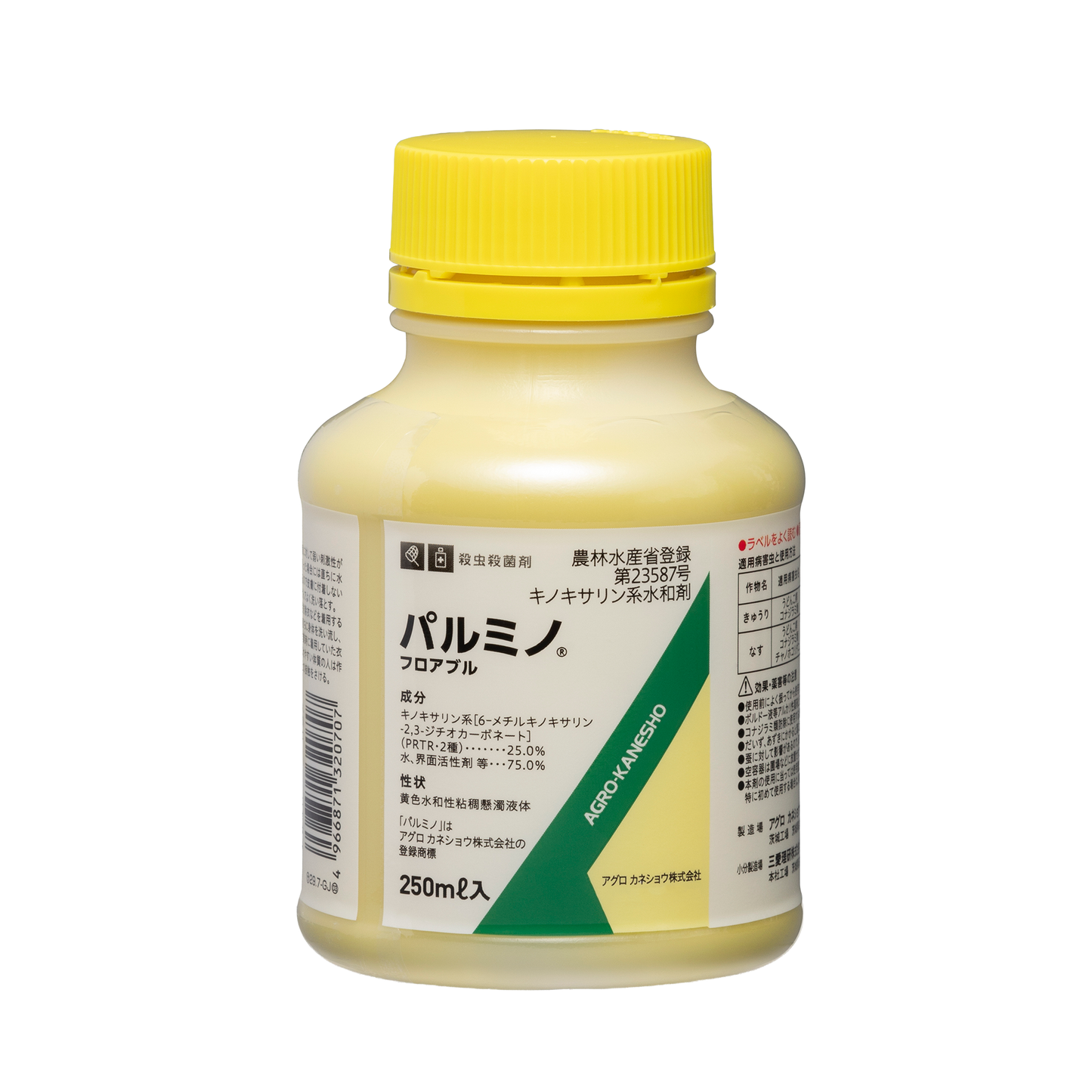 パルミノ